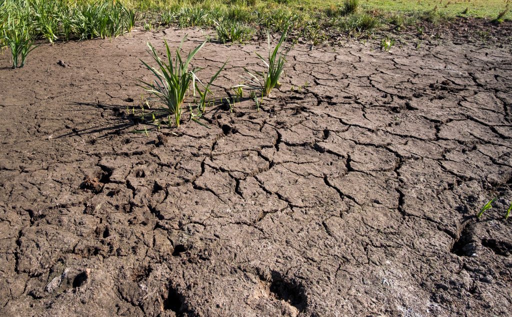 Farmers and growers need more reliable access to water as drought and extreme weather continues to put pressure on UK food production, the National Farmers’ Union (NFU) has warned.