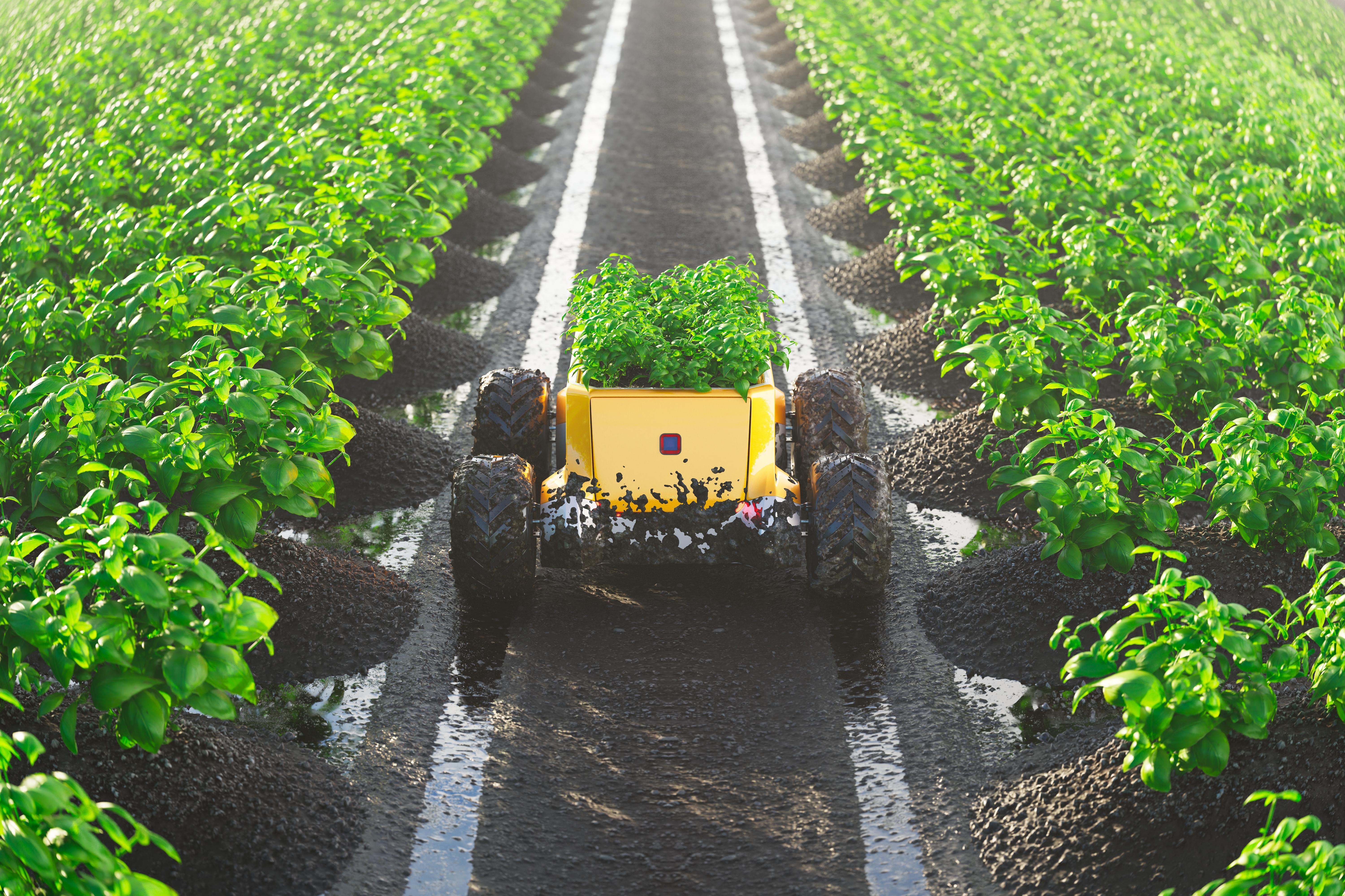The government is offering £20m in funding to help develop robots and automated technology that could support farmers with planting and harvesting crops.